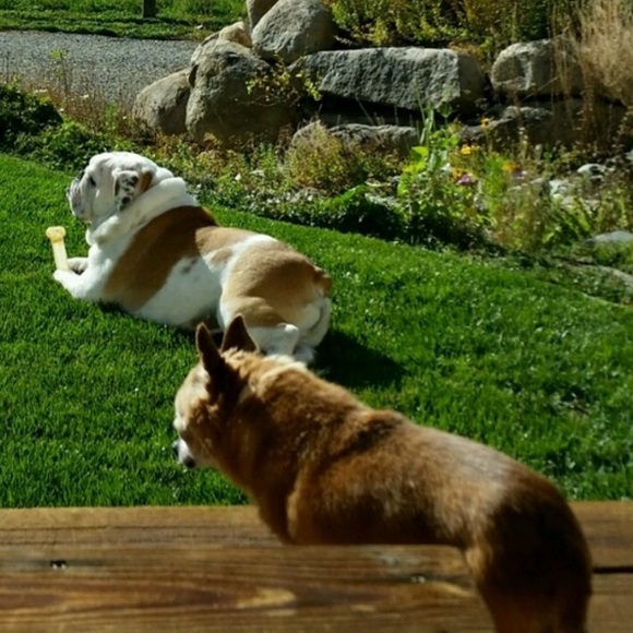 Offers Welcomed - Picture 2 of 2